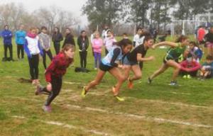 J�venes atletas azule�os compitieron con �xito en Ramallo